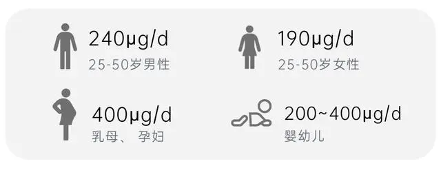 135133336sgsdshh.jpg